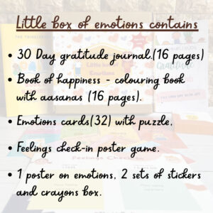 What does the box contain